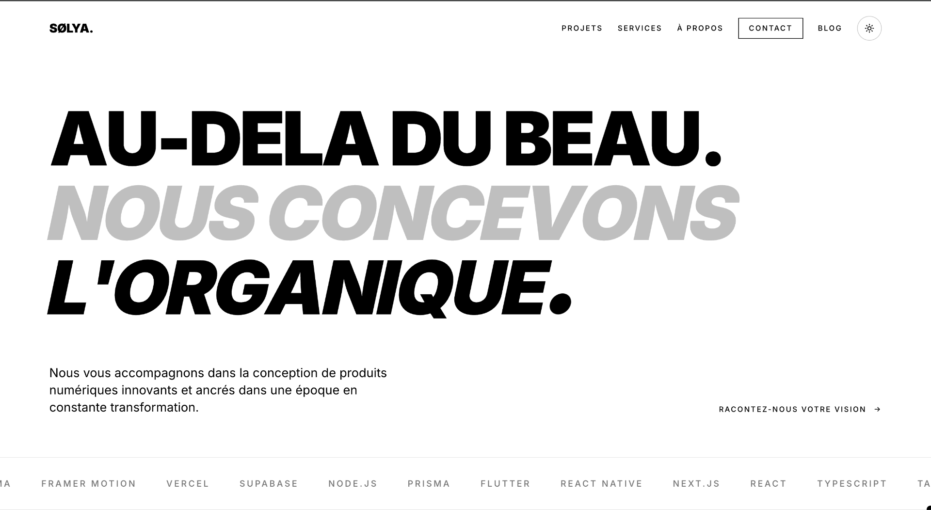 Capture du site Agence Solya